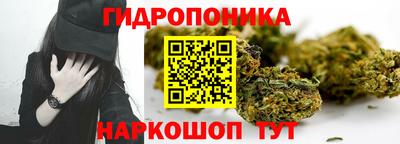 спиды Гусев