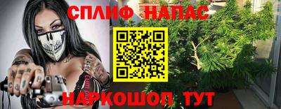 спиды Гусев