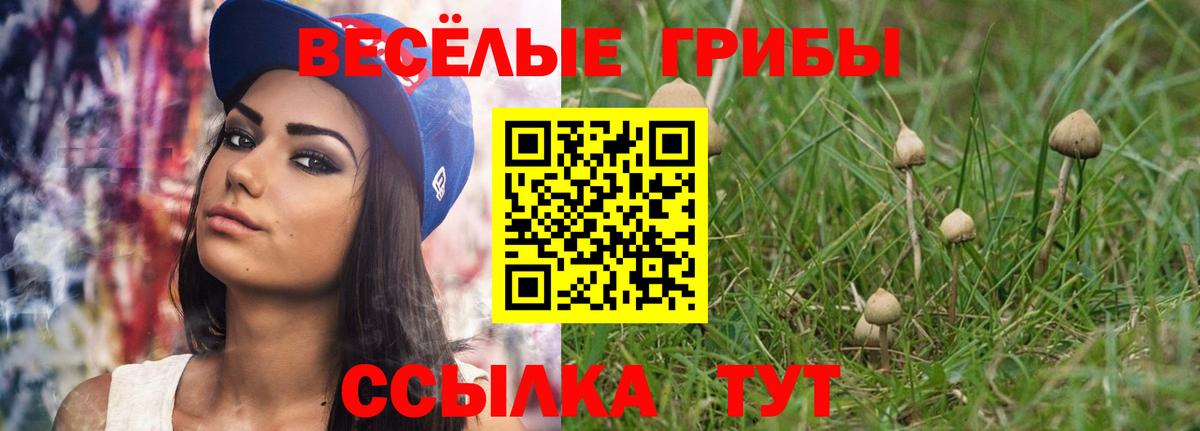 Галлюциногенные грибы прущие грибы  Вход с VPN  Нижний Новгород 